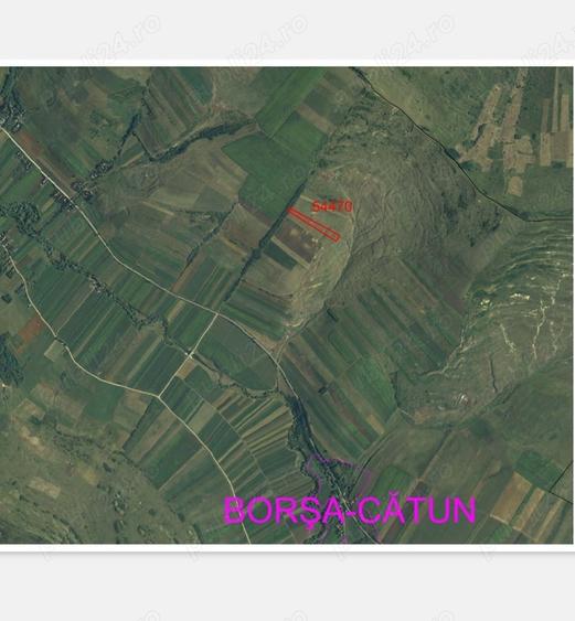 Teren în Borșa