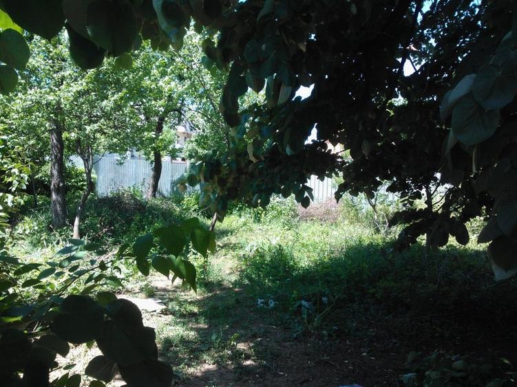 Teren Construcții intravilan de 2059 mp, în Pădurișu