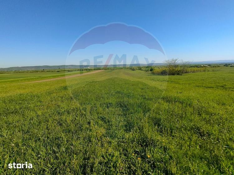 Teren de 1668 mp, în Gura Râului