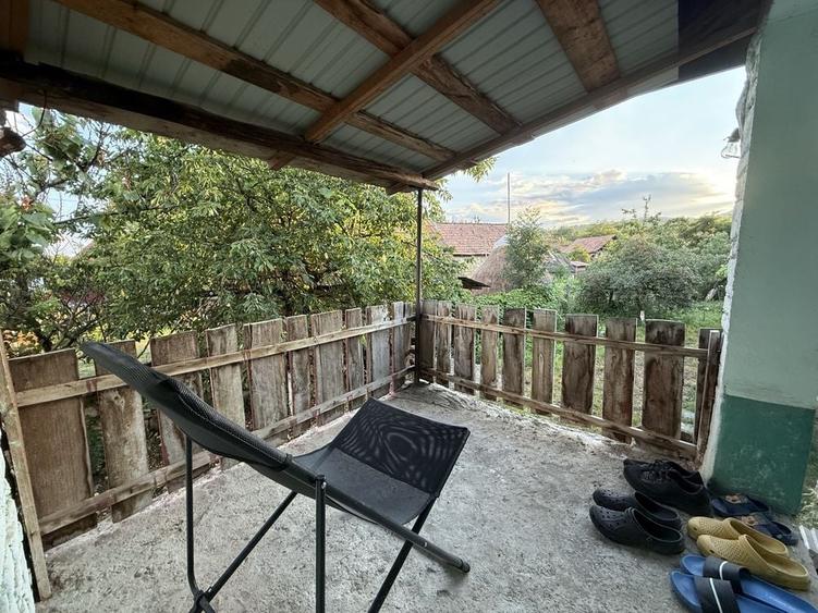 Casa in Podeni, potential deosebit - 1