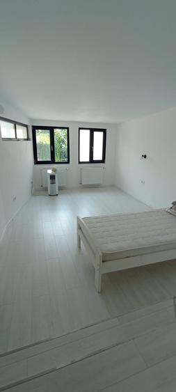 Casa 4 camere singura curte pretabila birouri-firme zona Gara de Nord - 7