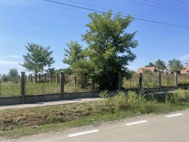 Teren de 7900 mp, în Dorolț
