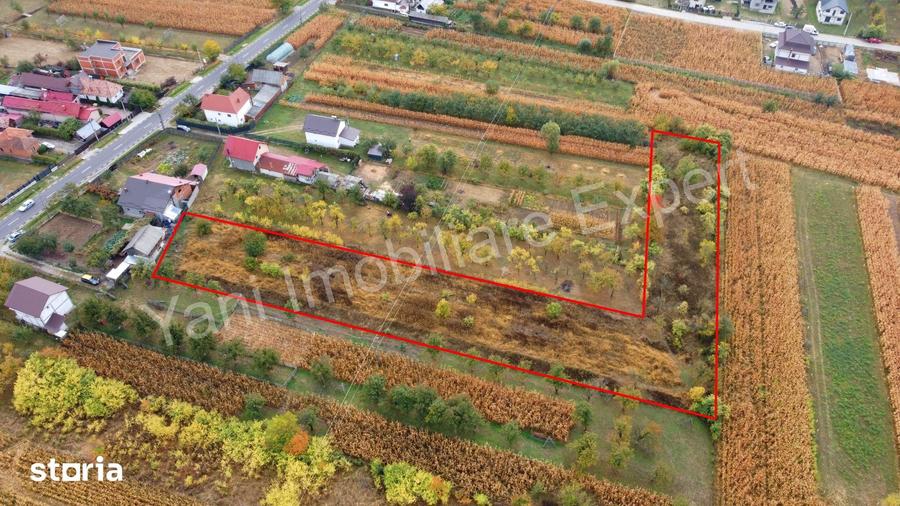 Teren de 4000 mp, în Corbeni
