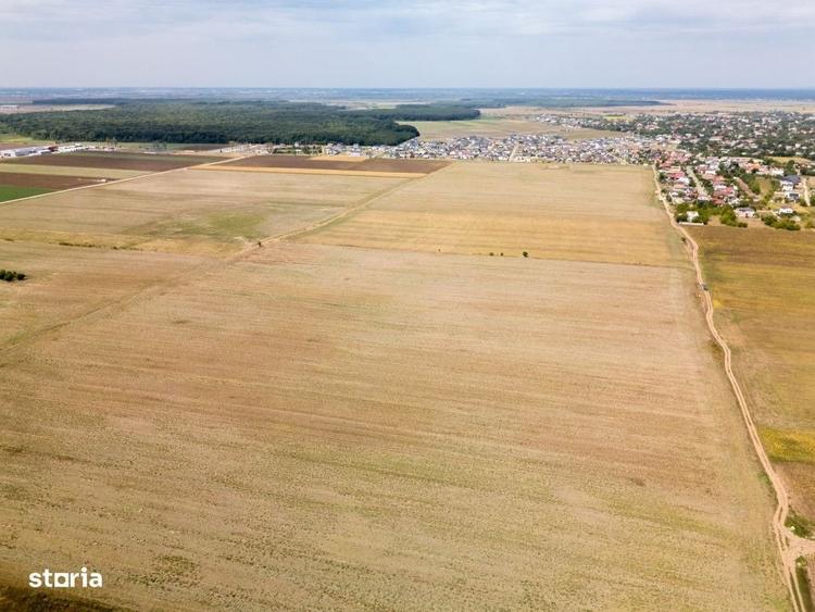 Dascalu - Teren Intravilan 7500 Mp, Investitie! - 8