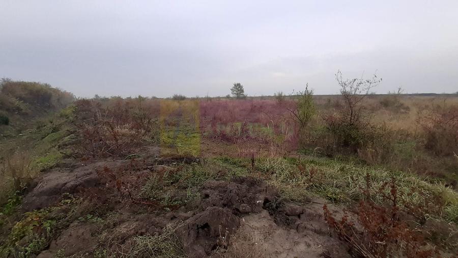 Teren agricol extravilan de 5000 mp, în Corbeanca