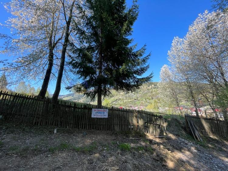 Teren intravilan de 6041 mp, în Ceahlău