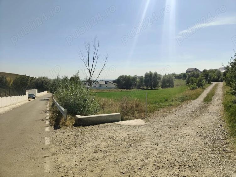 Teren de 3500 mp, în Moara