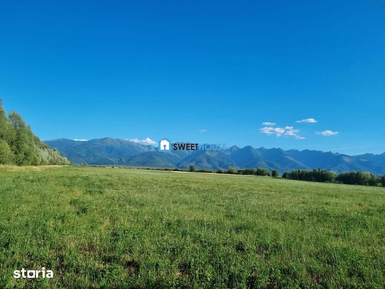 Teren de 17529 mp, în Central