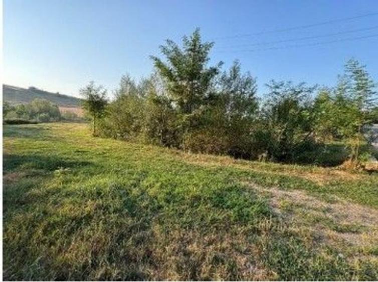 Teren partial intravilan Romani, judetul Neamt, ID: R2326723 - 3