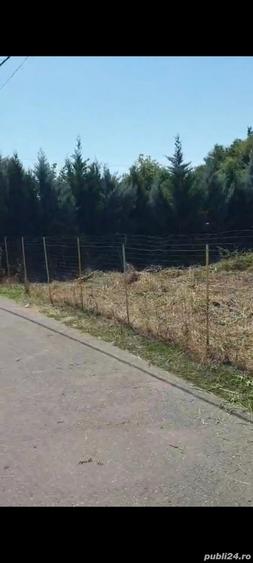 Teren de 500 mp, în Săftica