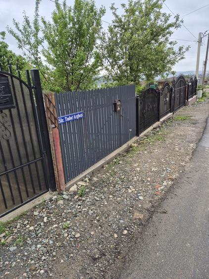 Spațiu comercial, în Vișan
