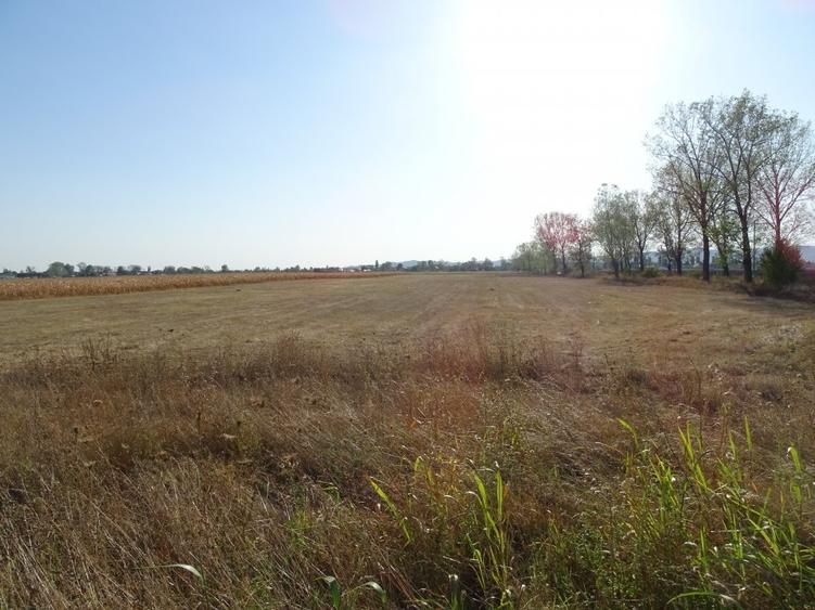 Teren agricol extravilan de 30000 mp, în Băicoi
