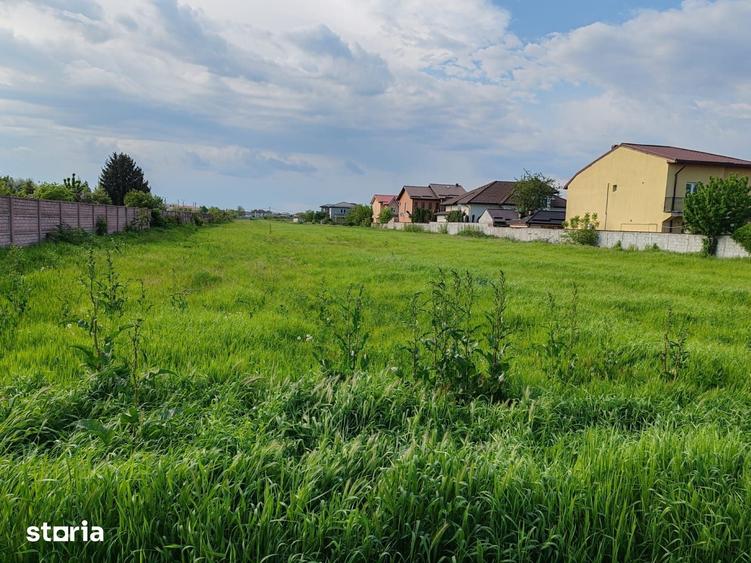 Teren de 4866 mp, în Clinceni