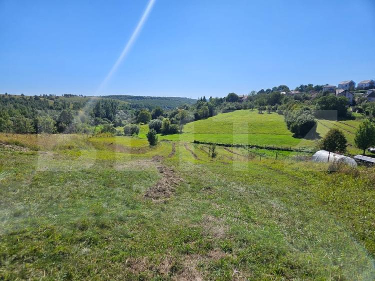 Teren Construcții intravilan de 2915 mp, în Feleacu