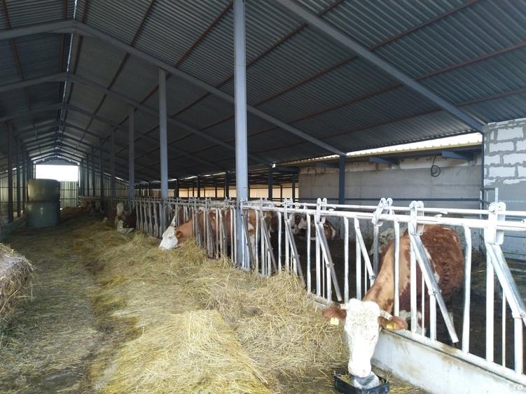 Spațiu comercial, de 1,000 mp, în Izvoru Crișului