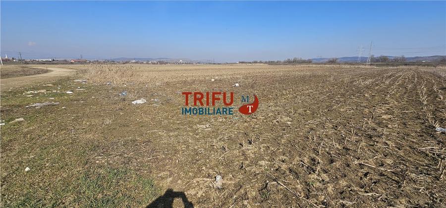 Teren intravilan de 6400 mp, în Ampoi 1