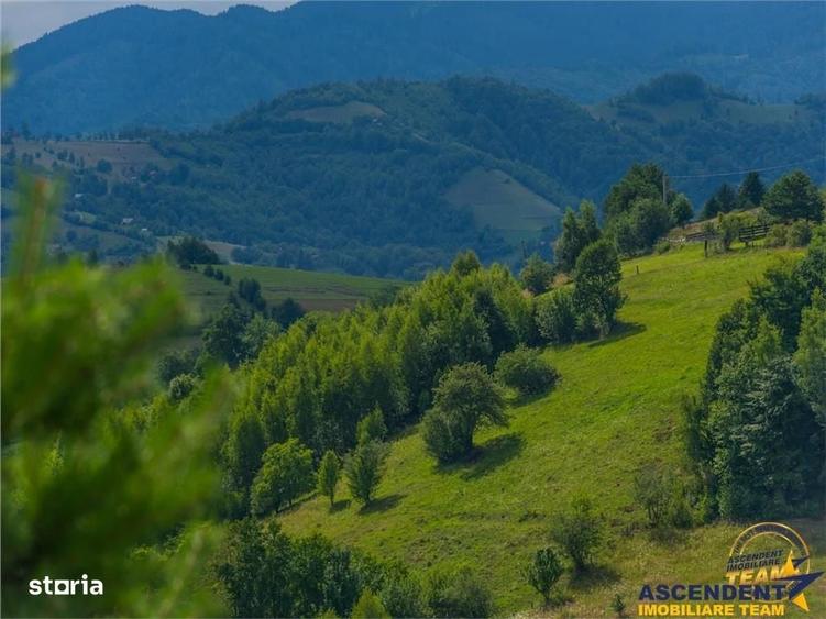 Spațiu comercial, în Poiana Mărului