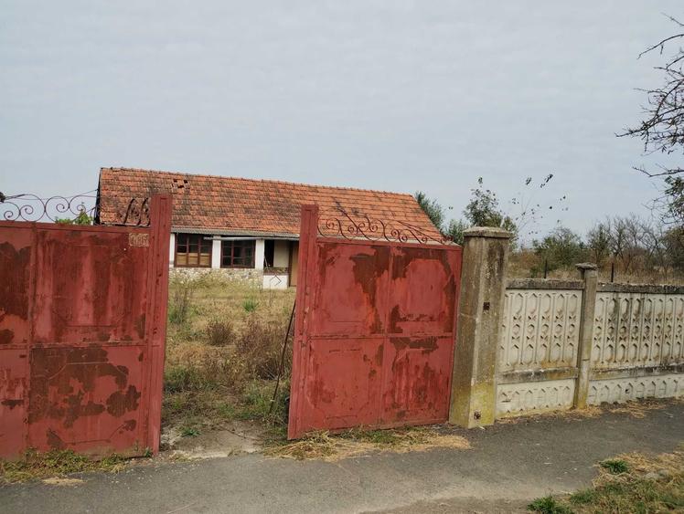 Casa veche din 1955 si teren intravilan 6153 mp,Localitate Sinersig,Jud Timis - 7
