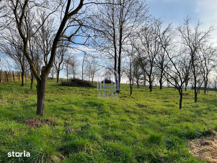 Teren de 4872 mp, în Forăști