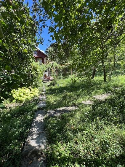 Casă cu 4 camere cu Teren 8421 Mp în Pruni