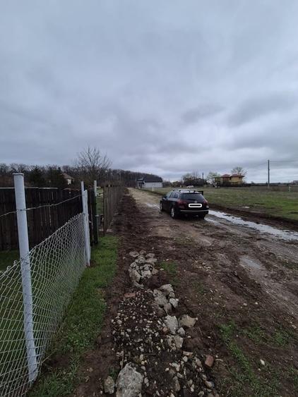 Tartasesti, Gulia, str. Codrului - 3