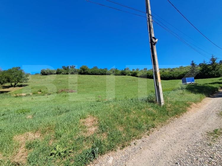 Teren Construcții intravilan de 9600 mp, în Gheorghe Doja
