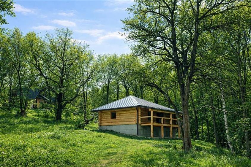 3.000mp de incantare montana cu cabana din lemn masiv, Zarnesti Tohanita - 1