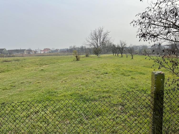 Teren Construcții intravilan de 2104 mp, în Sânmihaiu Român