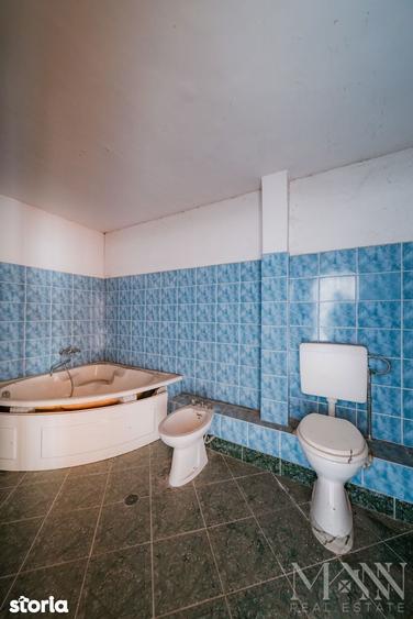 Spațiu comercial, de 540 mp, în Rogerius