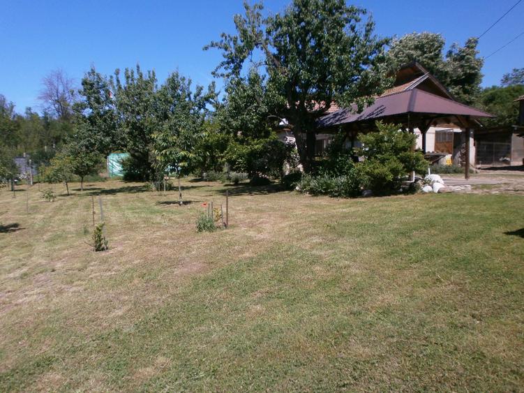 Teren de 120 mp, în Bâscenii de Sus