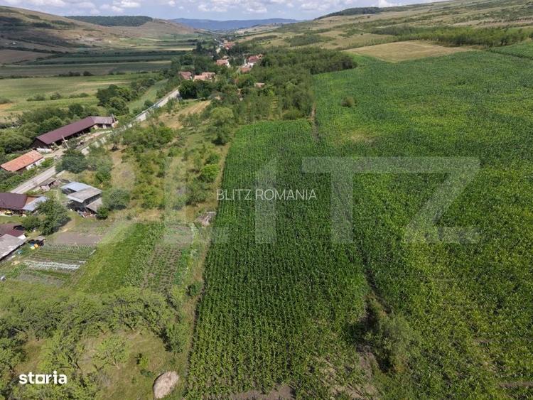 Casa de vabzare, 87 mp, 6.400 mp teren, zona Lujerdiu