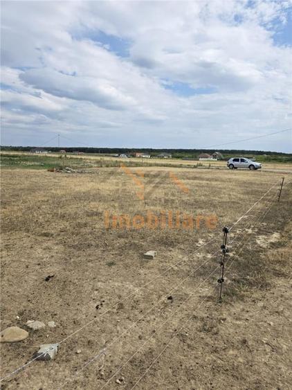 TEREN INTRAVILAN 568 MP | PROIECT CASA | CIHEI SANMAR... - 2