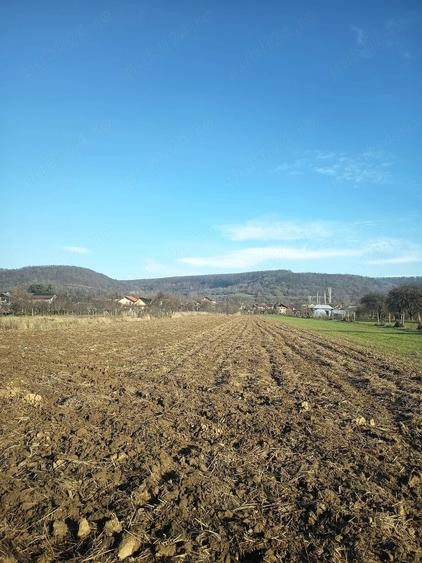 Teren de 2983 mp, în Central