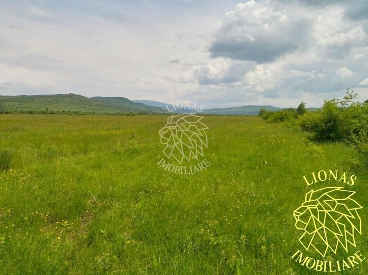 Teren extravilan de 13100 mp, în Orheiu Bistriței