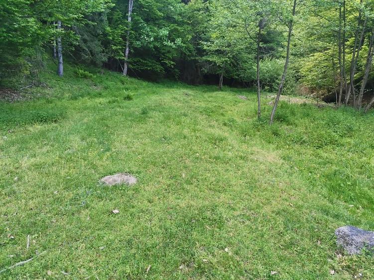 Teren de Vanzare extravilan - 2
