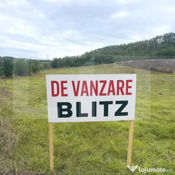 Teren extravilan de vanzare, 5.800 mp, zona Manole?ti-Boto? - 1
