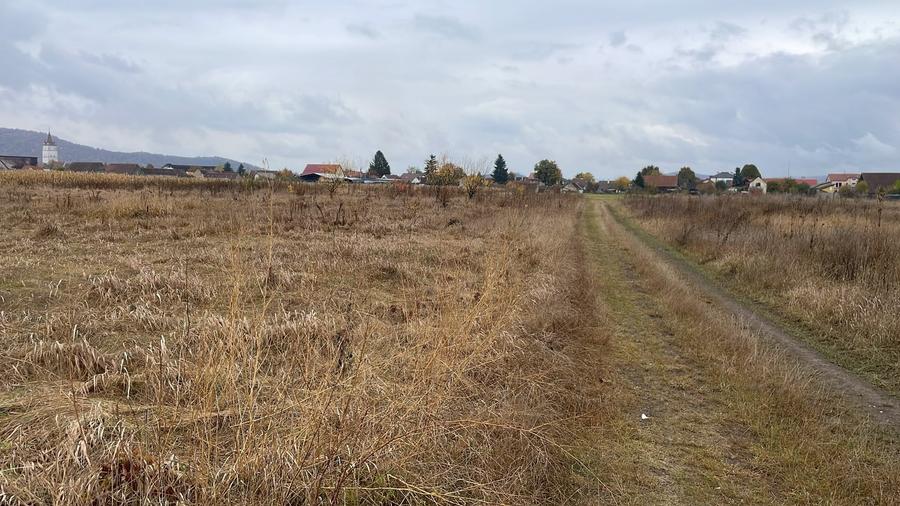 Teren Construcții intravilan de 1000 mp, în Hărman
