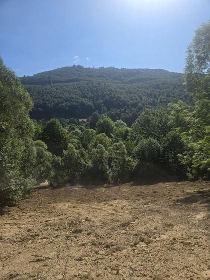 Teren de 2000 mp, în Teșila