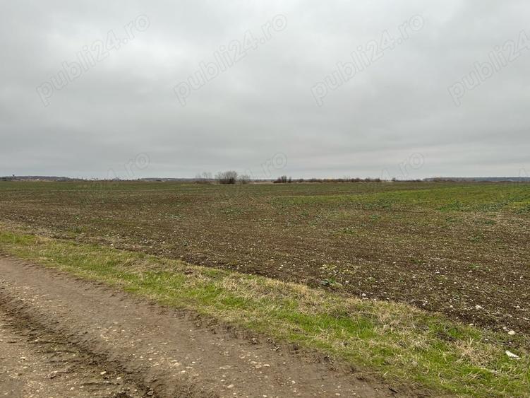 Teren de 15500 mp, în Tărtășești