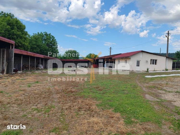 Casă cu 4 camere cu Teren 4800 Mp în Crețești