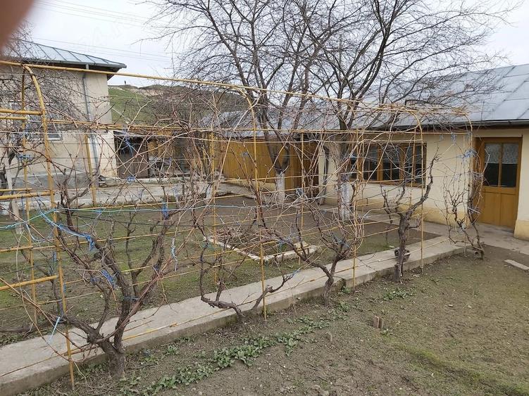 Vand casa in Harsova - 3