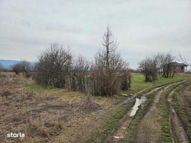 Particular, vand teren intravilan 3348 mp pe malul Oltului - 3