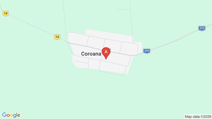 Teren agricol extravilan de 100000 mp, în Coroana