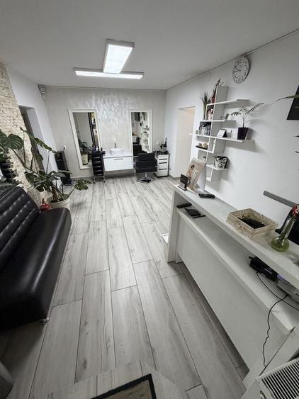Spațiu comercial, de 66 mp, în Apusului
