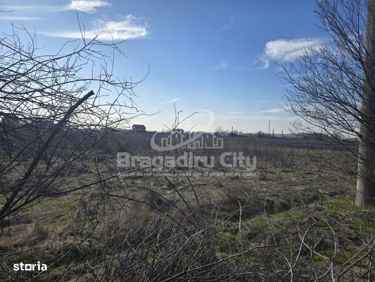 Teren de 3100 mp, în Central