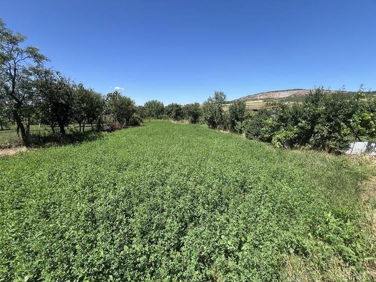 Casă cu 4 camere în Betfia