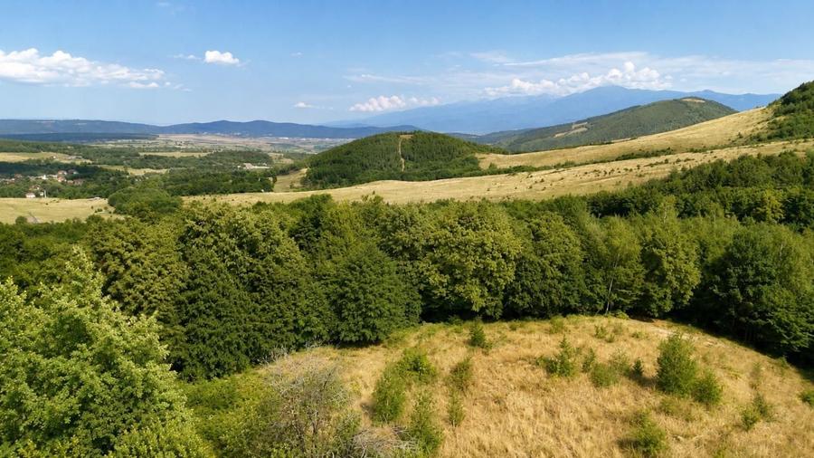 Teren Construcții intravilan de 2938 mp, în Sadu