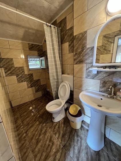 Casă cu 10 camere în Central