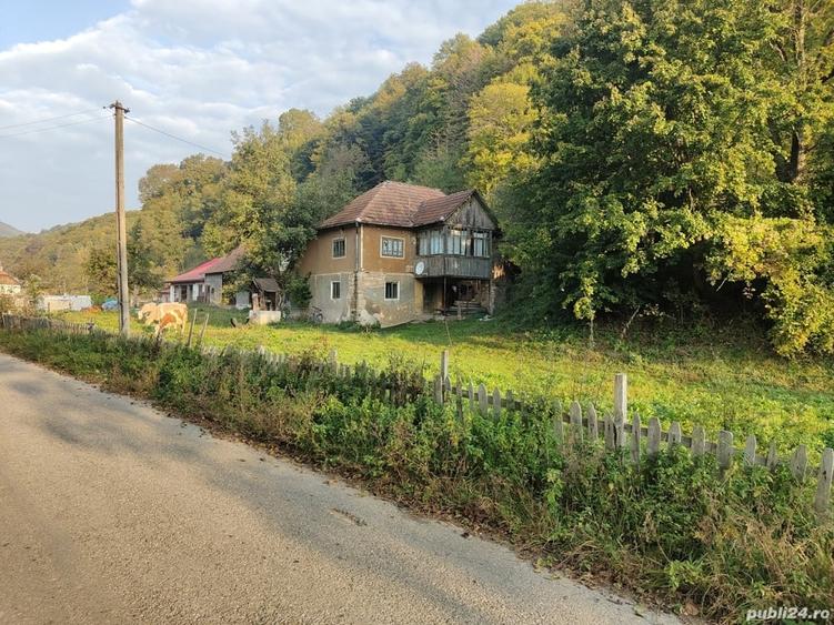 Casă cu 4 camere cu Teren 7000 Mp în Almașu Mare
