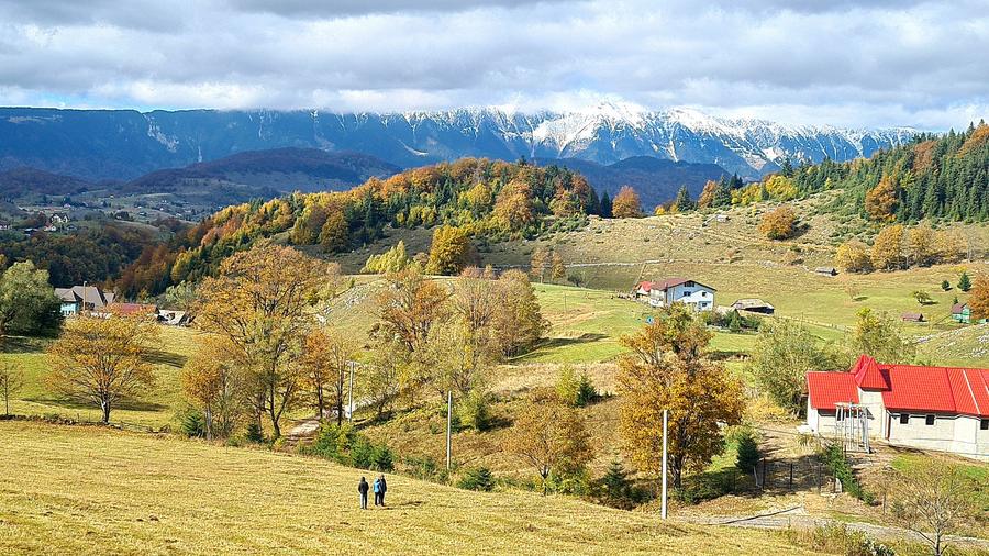 Teren intravilan de 15771 mp, în Fundata